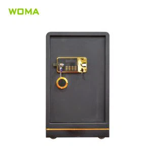 Stål Safe med digitale lås